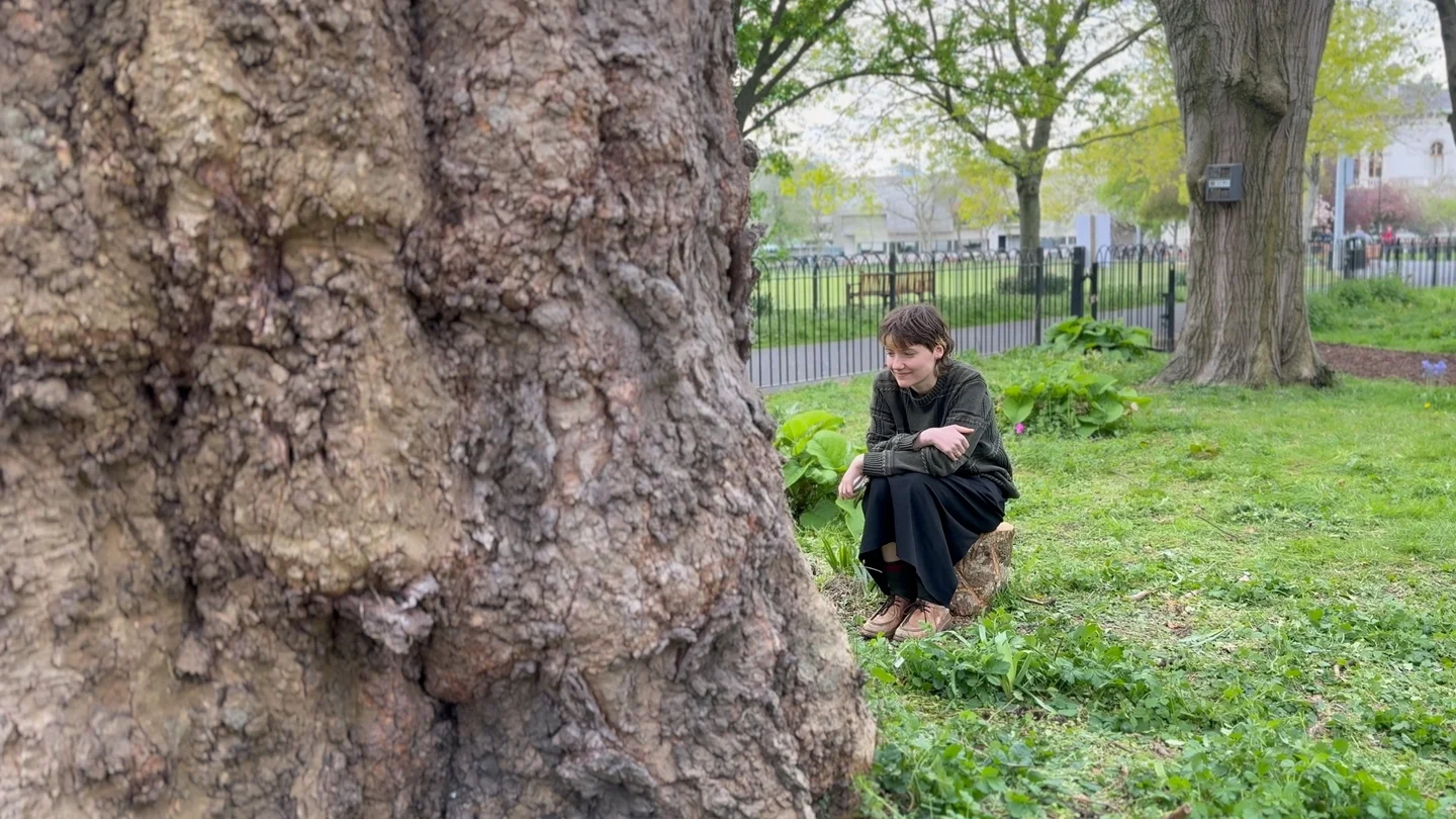 The Tree That Talks: Dublin’s Amazing AI-Powered Green Project